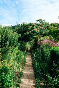 How to Master the Law of Delight: Your 7-Step DELIGHT Pathway