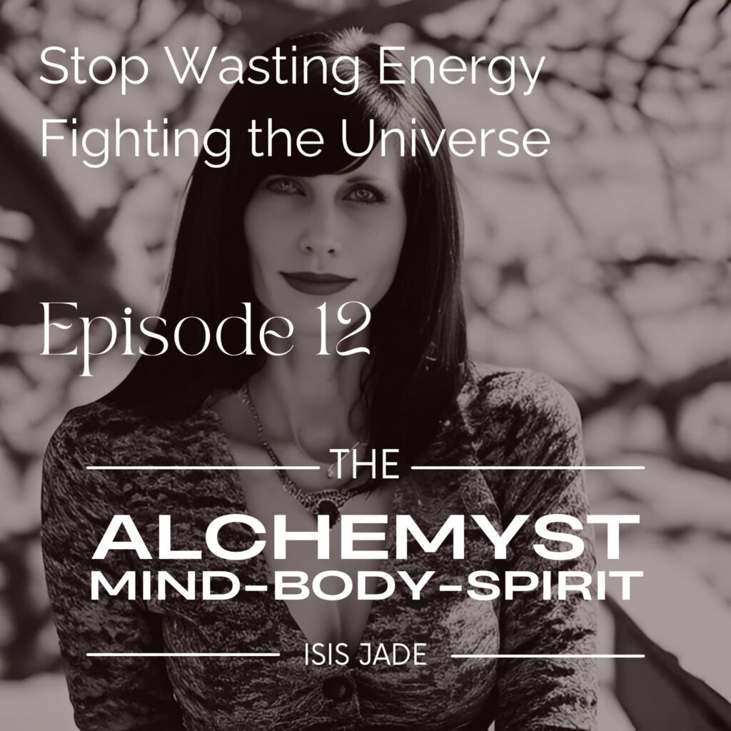 Episode 12 – Stop Wasting Energy Fighting the Universe