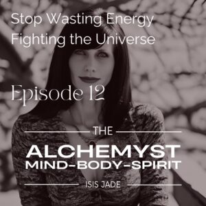 Episode 12 – Stop Wasting Energy Fighting the Universe