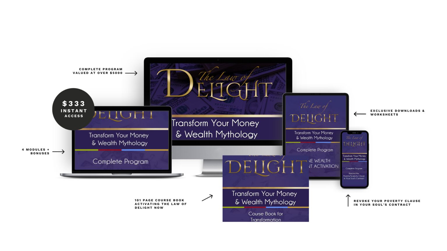 Transform Your Money & Wealth Mythology Program - Image 5