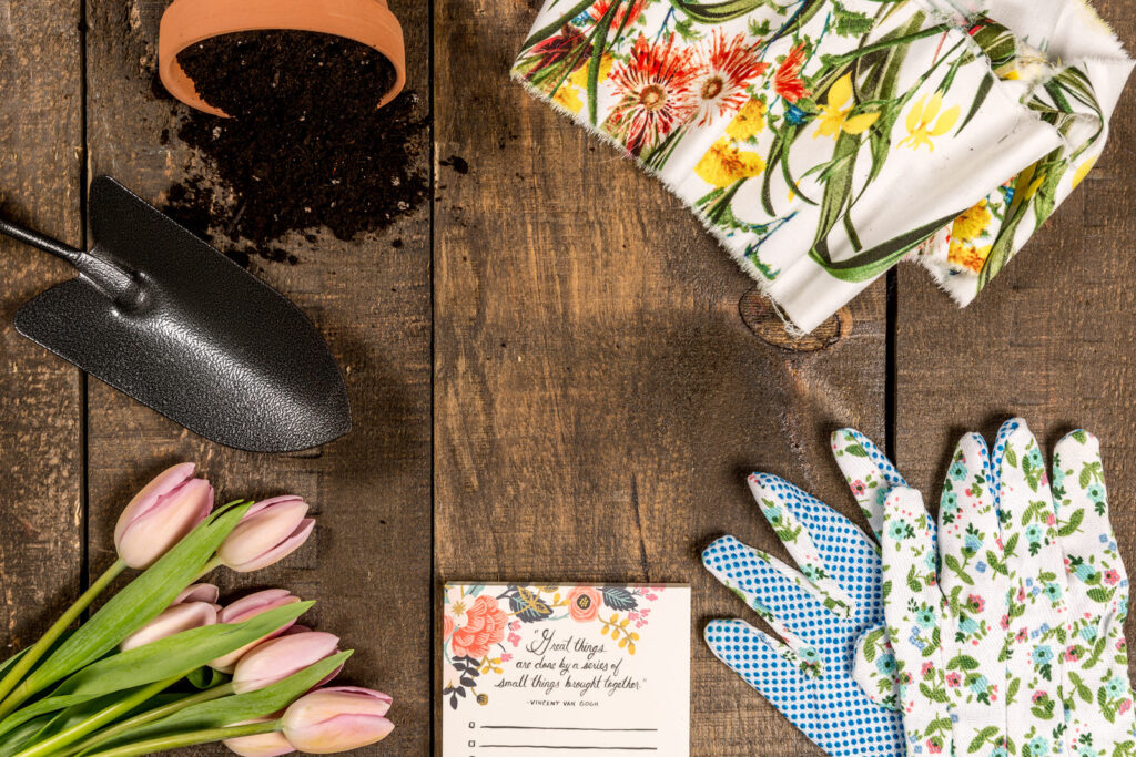 Manifestation Starter Kit: The Four Essentials to Begin Creating