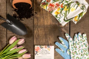 Manifestation Starter Kit: The Four Essentials to Begin Creating