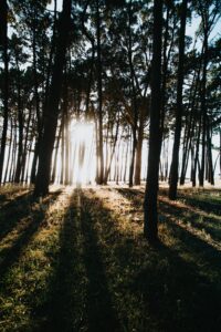 Science-Backed Manifestation Techniques: The Heart and Brain Method