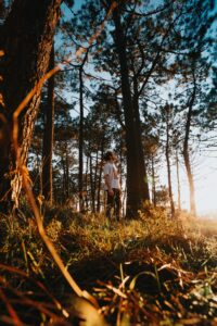 Law of Delight Course: What You Learn and How to Begin Today