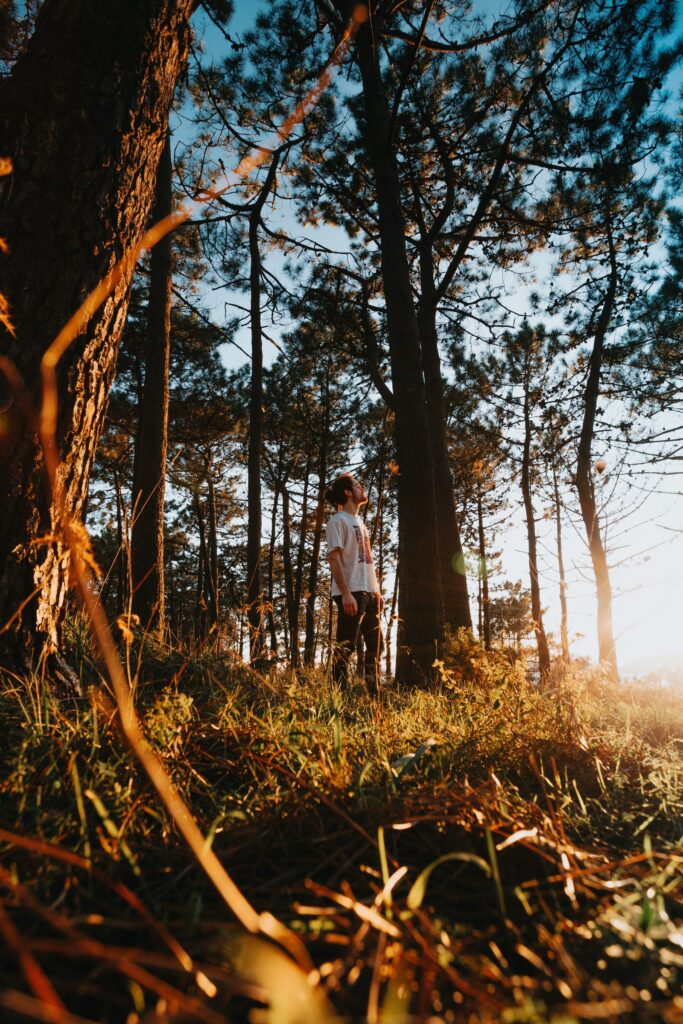 Law of Delight Course: What You Learn and How to Begin Today